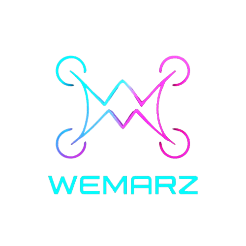 Wemarz Company Logo